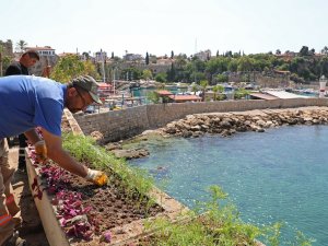 Büyükşehir’den Karaalioğlu Parkı’na modern peyzaj