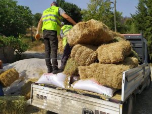 Kepez, afetzede besiciler için görevde