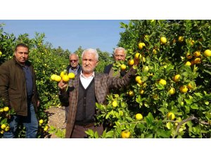 ’Limon kooperatif marketlerinde satılsın’ çağrısı