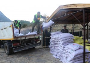 İbradılı üreticilere 3 ton hibe buğday tohumu teslim edildi