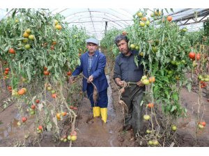 Kumlucalı üreticiler sel sonrası seralarda dezenfekte çalışmasına başladı