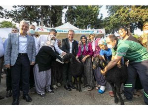 Büyükşehir tarım ve hayvancılıkta üreticinin destekçisi oldu