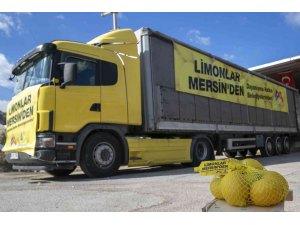 Mersin’den 4 büyük şehre limon gönderildi