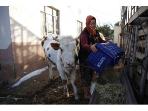 Konyaaltı’nda doludan zarar gören hayvancılara Büyükşehir’den destek