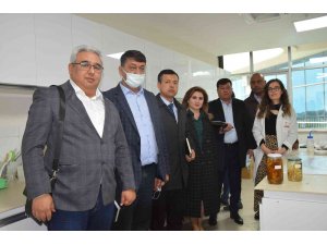 Özbekistan Tarım Bakanlığı heyeti BATEM’de