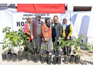 Büyükşehir Belediyesinden Erdemlili üreticilere avokado ve alıç fidanı