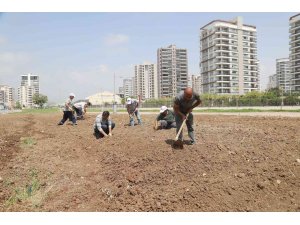 Mezitli’de ihtiyaç sahipleri için sebze bahçesi