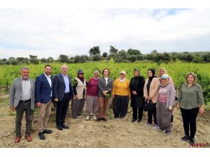 Akdeniz Belediyesi, çiftçilere verimli gübre kullanımı semineri başlatıyor