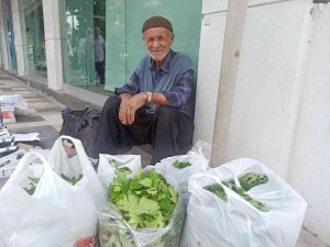 Asma yaprağı geçim kaynağı oldu