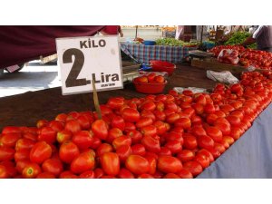 Adana’da domatesin kilosu 2 liraya düştü