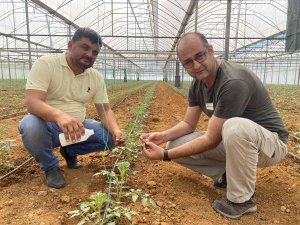 Biyolojik mücadeleyle üretilen ürünler daha sağlıklı