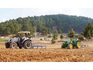 Ücretsiz tohum ve ekimle Toroslar’da boş tarlalar üretime katılıyor