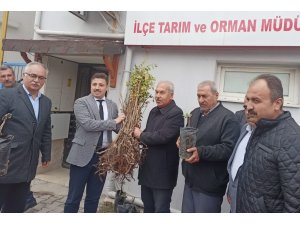 90 üreticiye 22 bin 500 adet sumak fidanı dağıtıldı