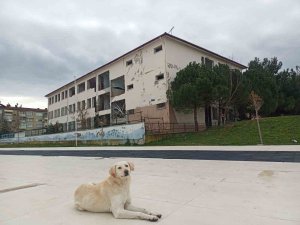 Samsun’da okul binaları güçlendiriliyor