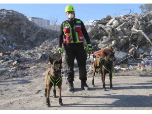 Kahraman köpekler: Asko ve Pia, 5 günde 10 kişiye ulaştı