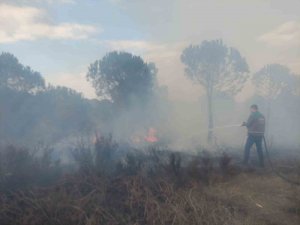 Biga’da ormanlık alandaki örtü yangınında 1 hektar alan yanarak küle döndü