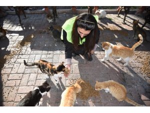 Asrın felaketinde sokak hayvanları unutulmadı