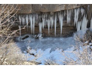 Şırnak’ta dağlar buz tuttu