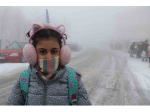 Erzincan’da sis, kar ve soğuk hava etkili oldu