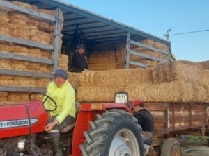 Deprem bölgesine saman ve yem gönderildi