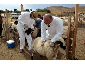 Talas’ta Tarımsal Kalkınmaya Destek Sürüyor