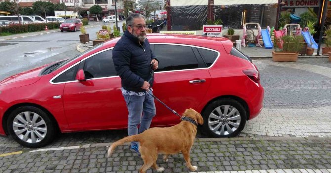 Antalya’da Alman vatandaşı bu kez de köpekle birlikte otomobili çaldı