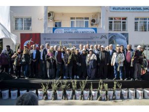 Mersin’de çiftçiye zeytin fidanı ve organik sıvı gübre desteği