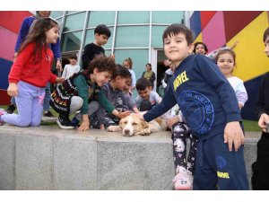 Minikler hayvanlar için geri dönüşüm malzemelerinden mama kapları yaptı