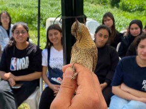 Estonya’dan göç ediyordu, Türkiye’de ilk kez yakalandı