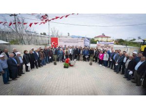 Mersin’de çiftçilere zeytin ve passiflora fidanı desteği