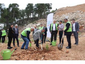 Terk edilmiş mermer ocağı rehabilite edilerek ağaçlandırıldı