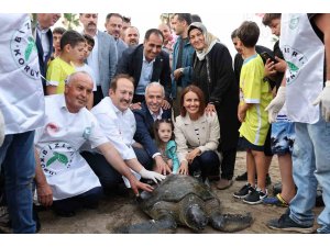 Tedavileri tamamlanan deniz kaplumbağaları denize bırakıldı