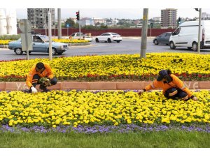 Mersin renkleniyor