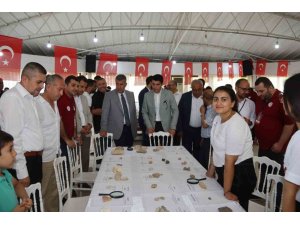 Hatay’da ’Fen ve Teknolojinin İzinde Gelecek Bizimle’ bilim şenliği düzenlendi