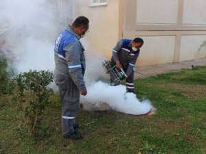 Sineksiz yaz için ilaçlama ordusu iş başında