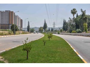 Antalya’nın kurtuluş caddesi yemyeşil oldu