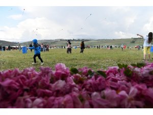 Sorkuncak köyünde 6. Gül Hasadı ve Uçurtma Şenliği