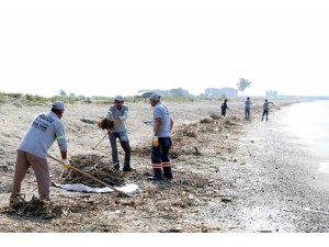 Mersin’de caretta carettaların üreme alanı sahiller temizleniyor