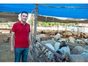 Seyhan’da kurban satış ve kesim yerleri belirlendi