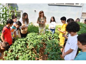 Yenişehir’de ata tohumları çocuklara emanet