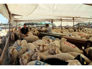 Akdeniz’de kurban kesim ve satış yerleri hazırlanıyor