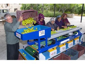 Mut’taki erik üreticisine boylama makinesi desteği