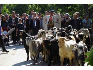 Isparta’da unutulmaya yüz tutmuş kurban indirme geleneği yeniden yaşatılmaya başlandı