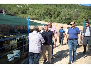 Alanya Belediyesi Kurban Satış Tesisi Kurban Bayramı’na hazır