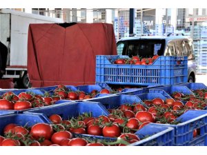 Antalya’da domates miktarı azaldı, fiyat endeksi arttı