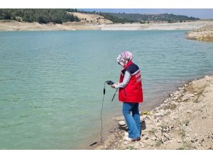 Osmaniye’de Buğdaycık göleti, balıkların yaşam alanı için uygun bulundu