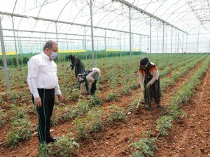 Başkan Böcek Serik’te üreticileri ziyaret etti