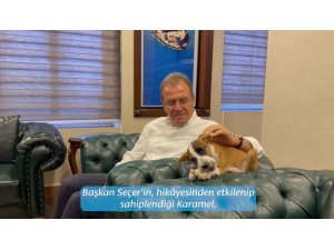 Depremzede köpeğin yavrusu belediyenin maskotu oldu