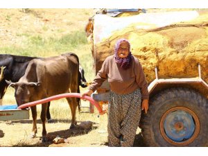 Antalya’nın “Çoban Haritası” çıkartılıyor