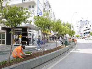 Büyükşehir Güllük Caddesi’ni 40 bin çiçekle süsleyecek